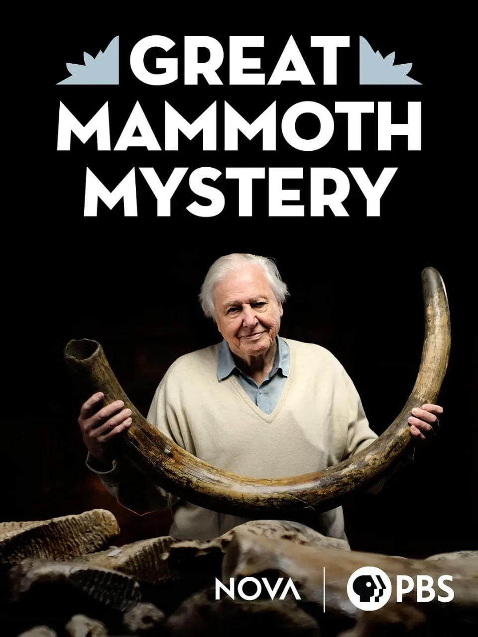 爱登堡与猛犸墓地