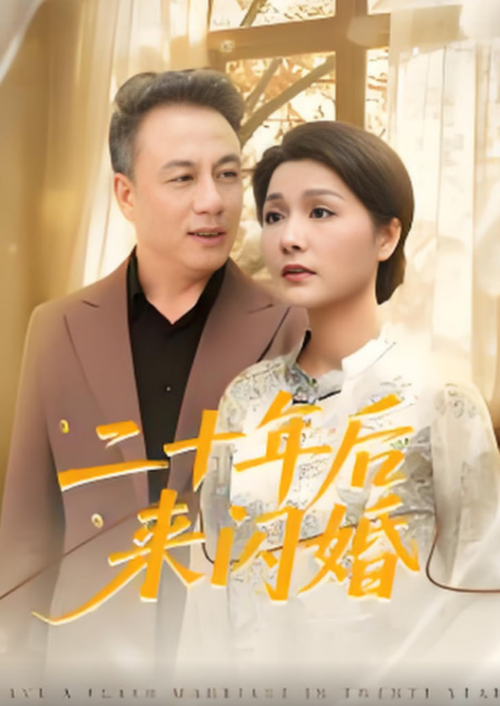 二十年后来闪婚